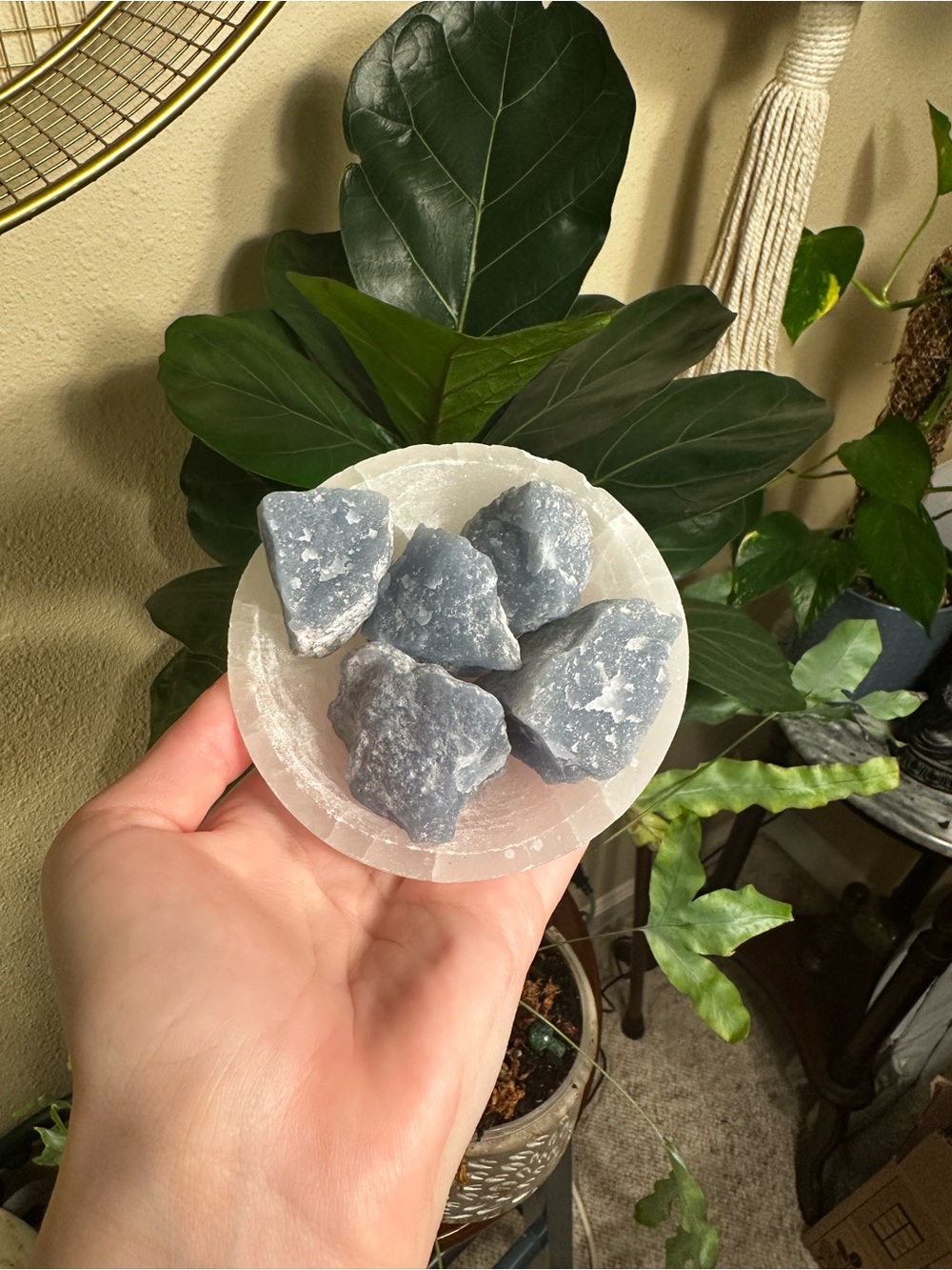 Blue Angelite Crystal Raw Stones